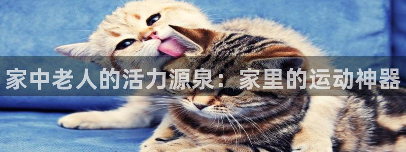 fb体育联系电话：家中老人的活力源泉：家里的运动神器
