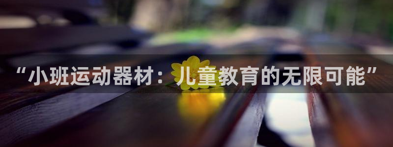 fb体育神州：“小班运动器材：儿童教育的无限可能”