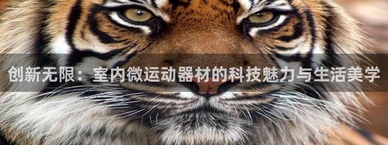 fb体育平台注册：创新无限：室内微运动器材的科技魅力