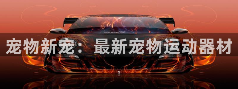 fb体育娱乐网站：宠物新宠：最新宠物运动器材