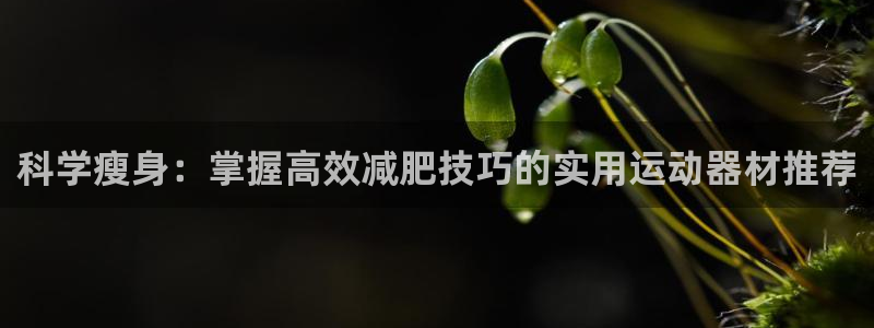 fb体育娱乐：科学瘦身：掌握高效减肥技巧的实用运动器材推荐